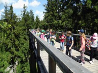 /album/fotogalerie-stezka-korunami-stromu-lipno/stezka-korunami-stromu2240-jpg/